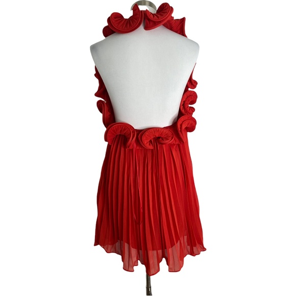 NEW Amur Red Pleated Ruffle Mini Mimi Dress - Picture 5 of 12